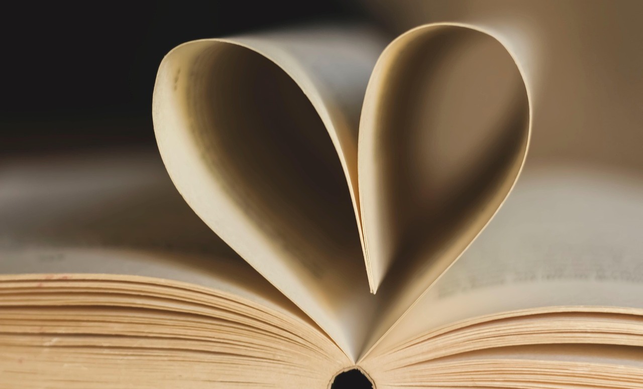 seance-biblio-therapie